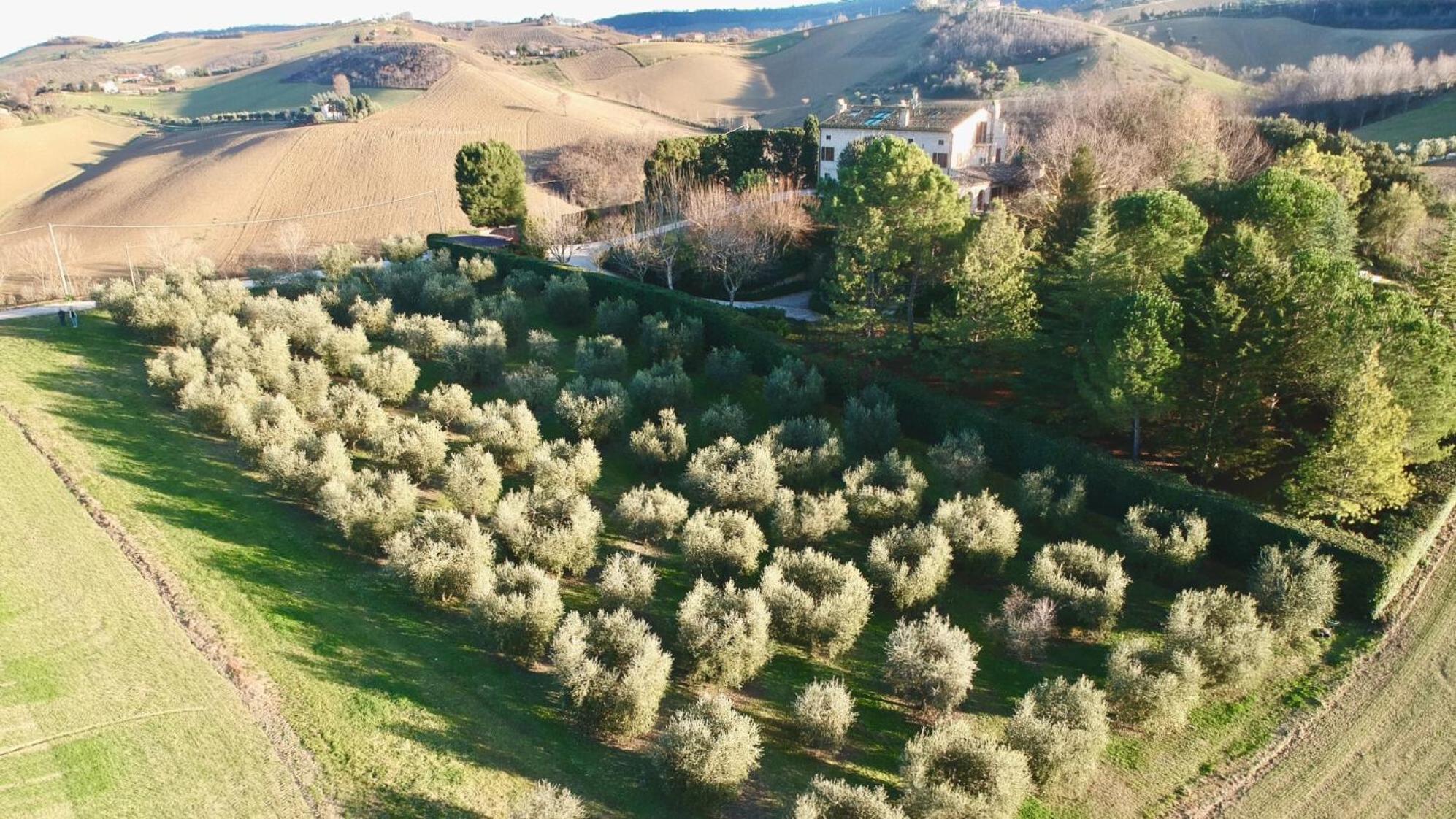 Monterosato Country House Monterubbiano Εξωτερικό φωτογραφία